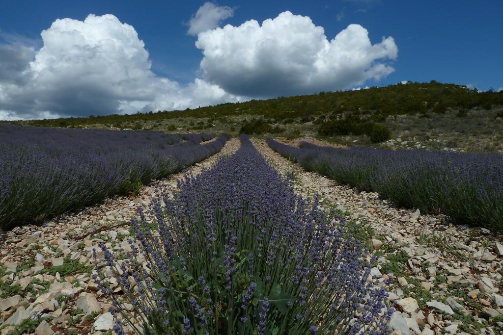 Gites Chameyer Rosans Εξωτερικό φωτογραφία